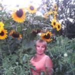 Аватара пользователя