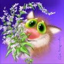 Аватара пользователя