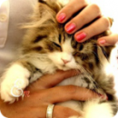 Аватара пользователя