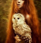 Аватара пользователя