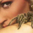 Аватара пользователя