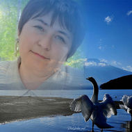 Аватара пользователя