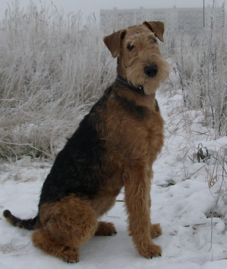 Вот такая девочка  - HPIM2326.jpg