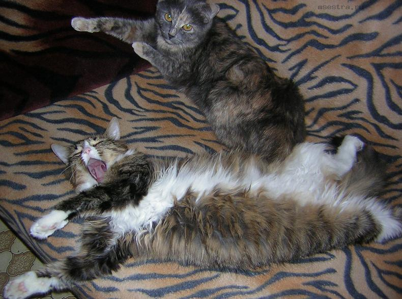 А как стресс снимаете вы? - 98765.jpg