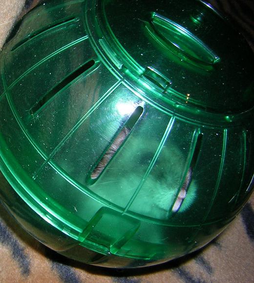 А как стресс снимаете вы? - 886.jpg