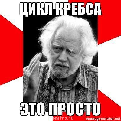 Прикольные картинки - getImage (7).jpg