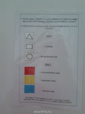 Ах эти швабры  - 20130724_121431.jpg