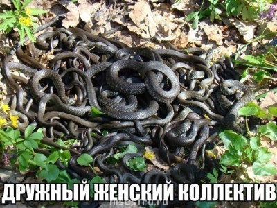 О дежурствах на пляжах. - ДЖК.jpg