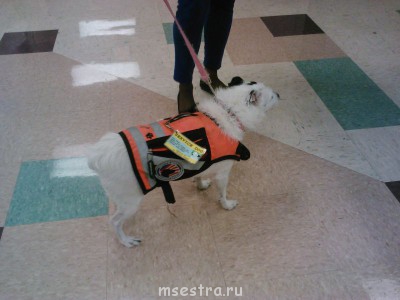 Как работают американские медицинские сестры - IMG059.jpg