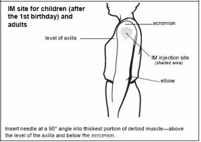 Выполнение прививок - IM injection site_1-10 years.JPG