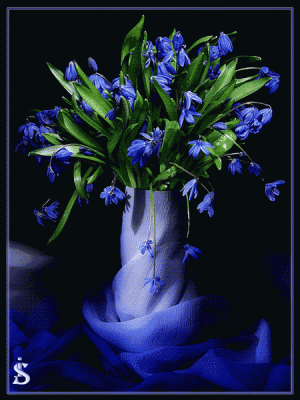 8 Марта  - 1672129.gif