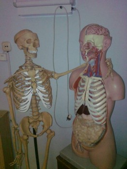 Студенты 2017 - Фото1928.jpg