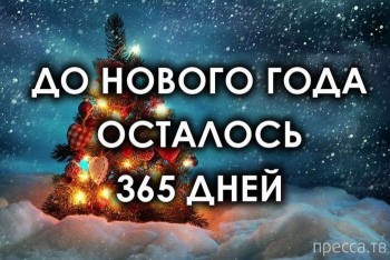 С Новым Годом  - IMG-20180101-WA0007.jpg