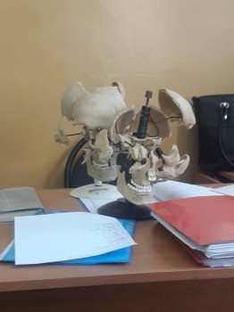 Студенты 2018 - IMG-20181018-WA0000.jpg